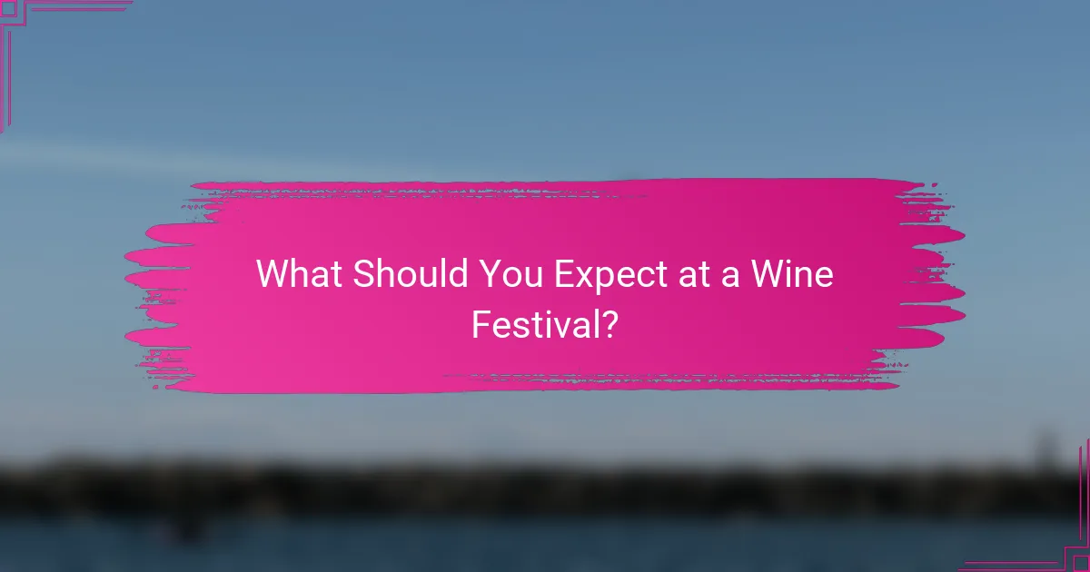 What Should You Expect at a Wine Festival?